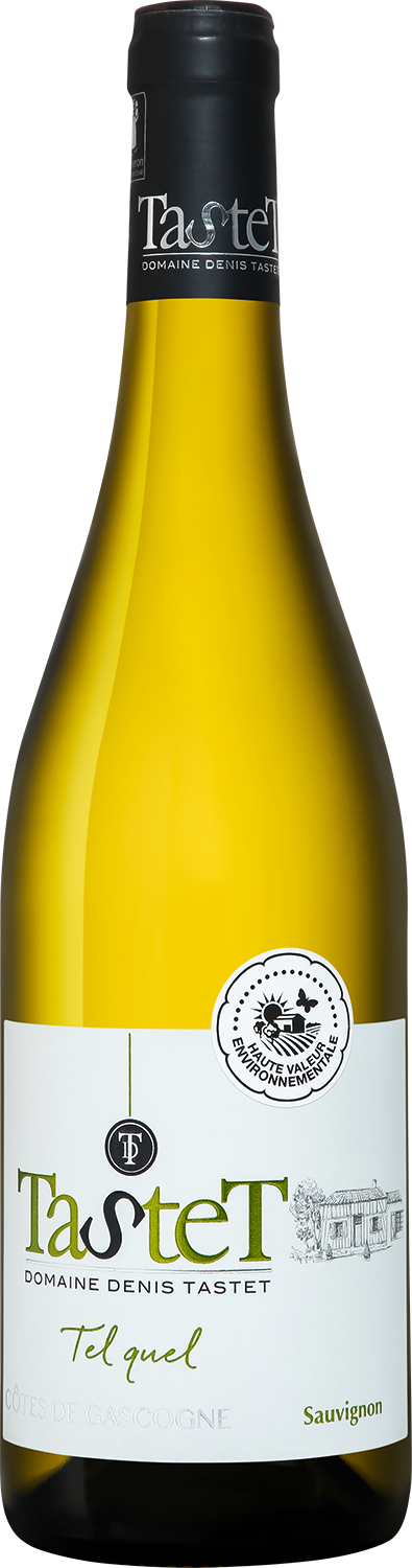 Тасте Тель Кель Кот де Гасконь IGT Домен Дени Тасте 2023 0.75 л