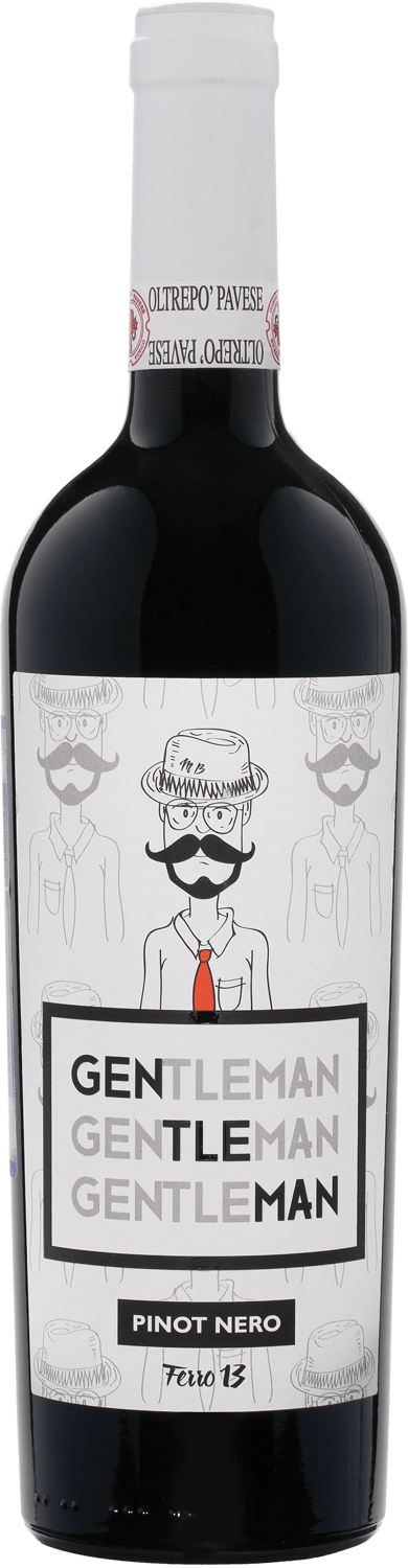 Джентельмен Ольтрепо Павезе DOC Ферро 13 2021 0.75 л