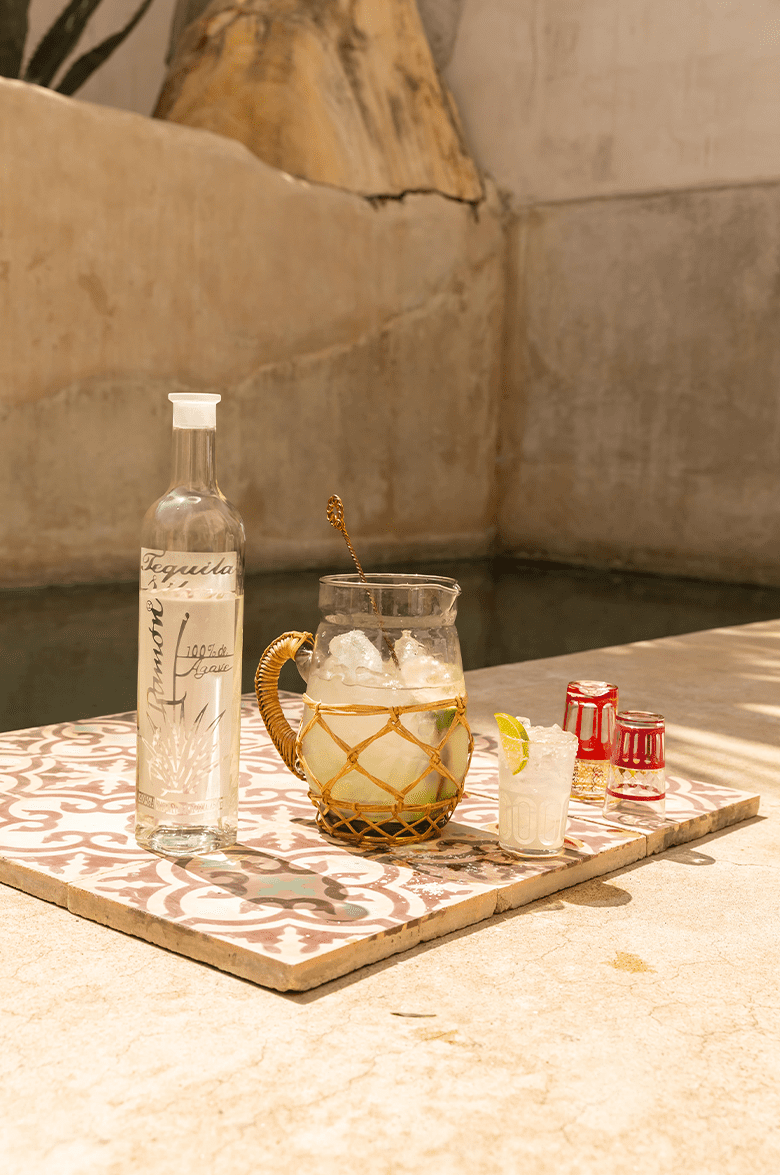 Дон Рамон Сильвер - 0.75 л