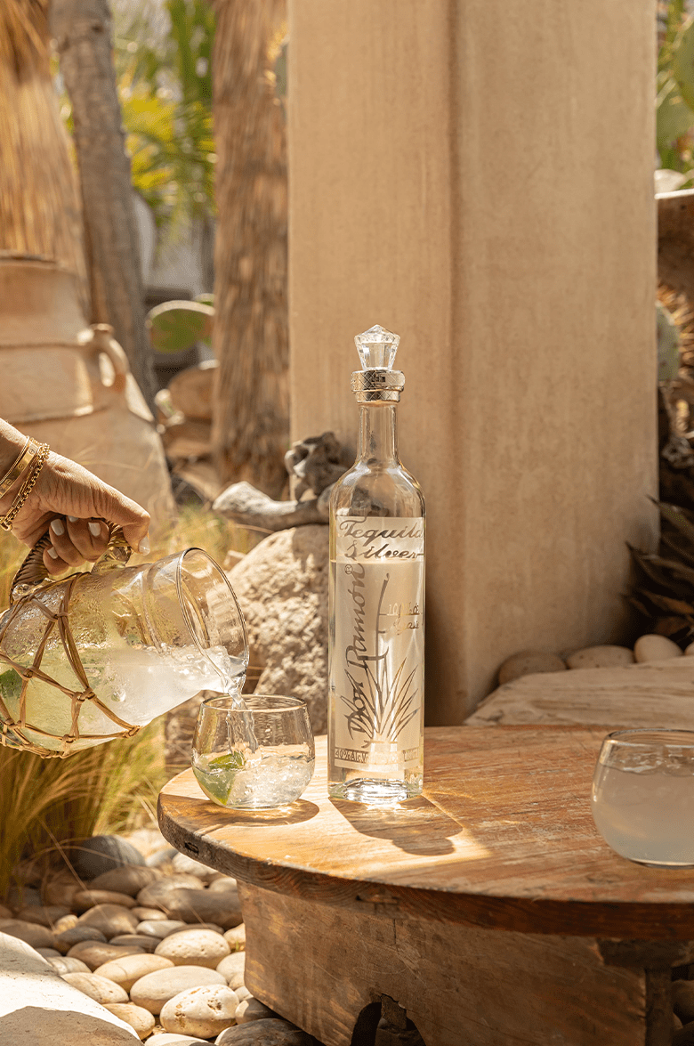 Дон Рамон Сильвер - 0.75 л