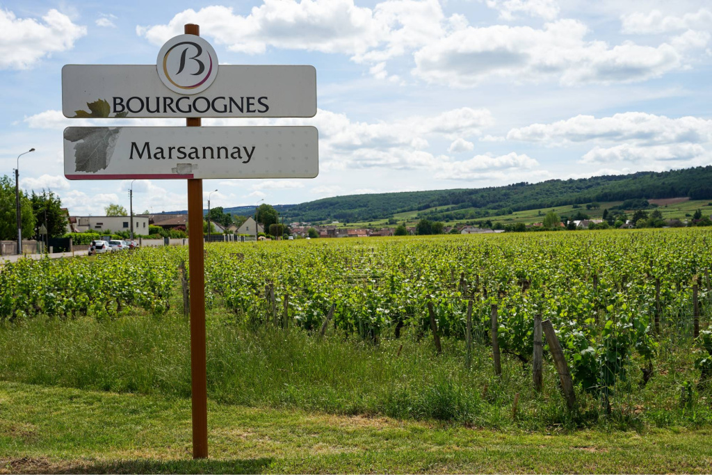 shutterstock_2422025041.jpg shutterstock_2422025041.jpg