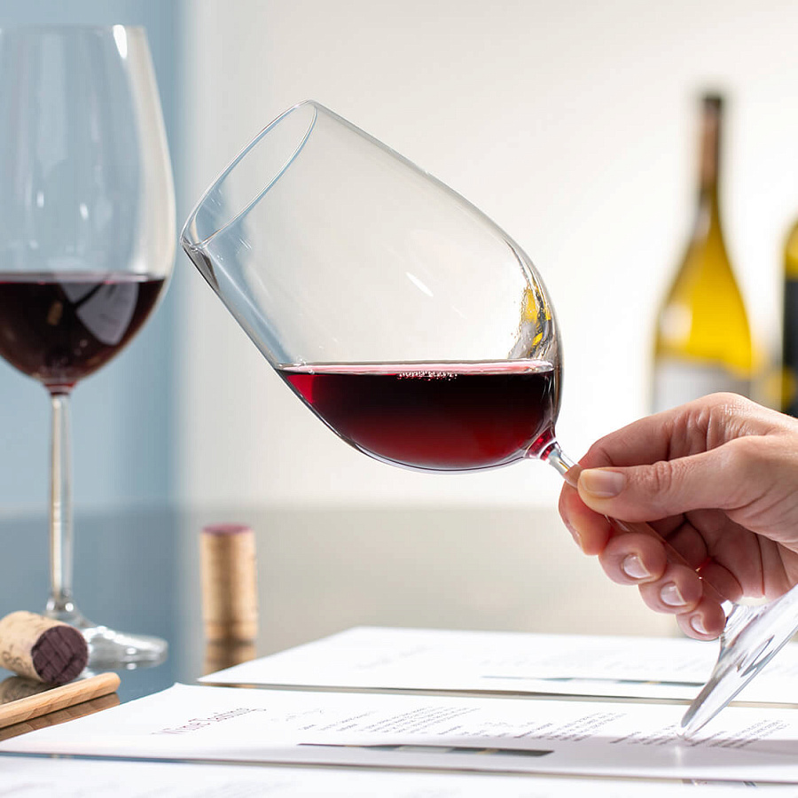 Любительский курс «Вино за 3 дня. New Edition»